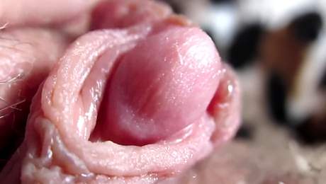 Big Clit Teasing & Real Wet Clitoral Orgasm In Exciting Close-up